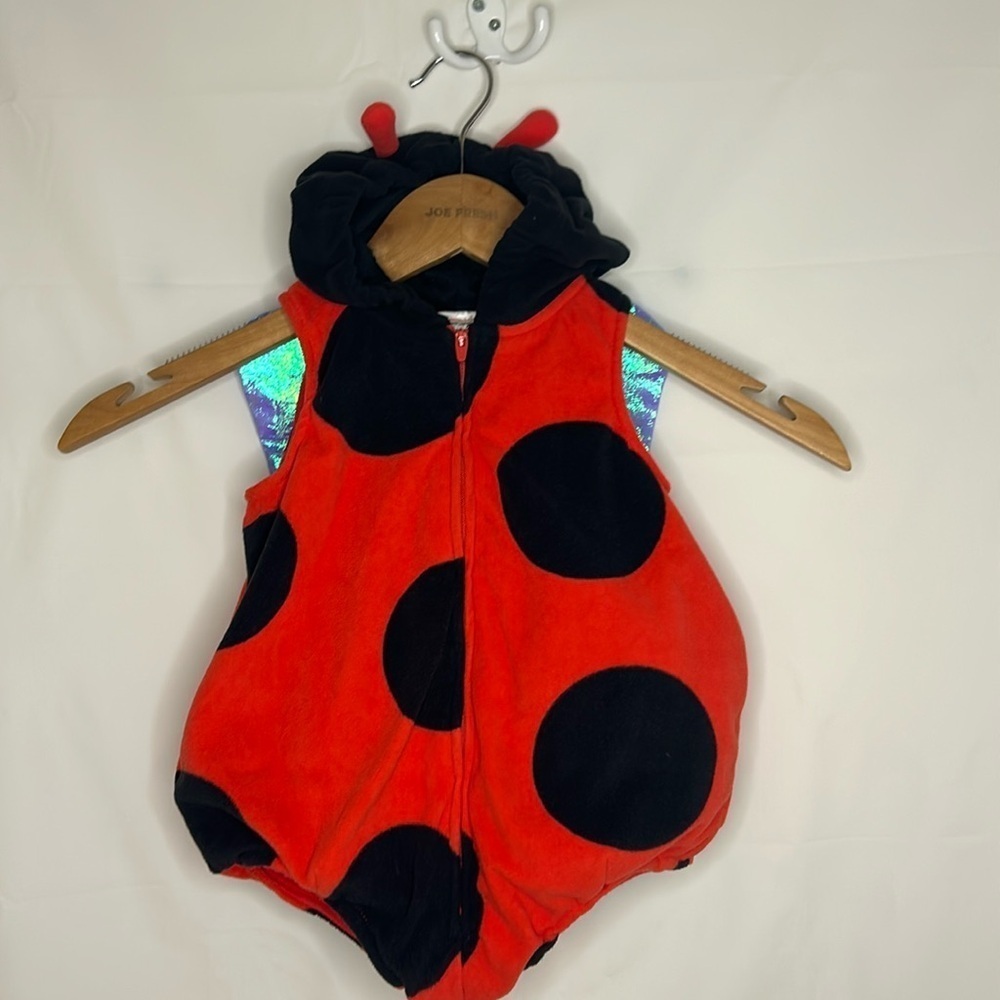Carter’s Ladybug Halloween Costume 6-9M Baby Infant Plush Wings Hood Cute